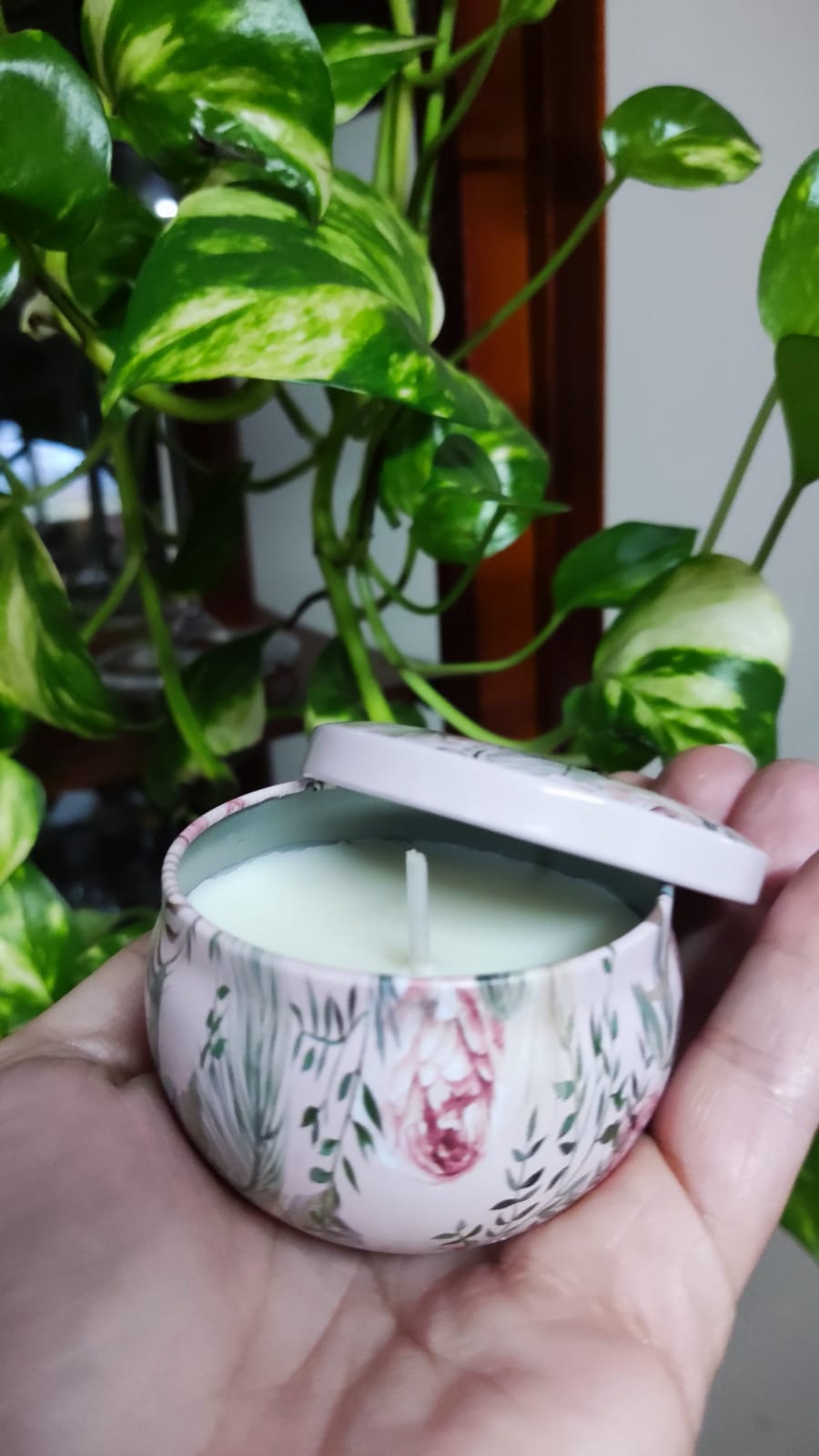 Vela na Caixa - vista 1